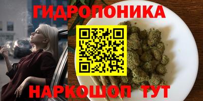 ешки Ставрополь