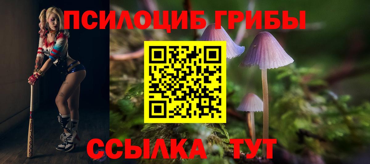 купить закладку  Псилоцибиновые грибы Psilocybe  Псилоцибиновые грибы ЛСД  Вход с VPN  Новосибирск 